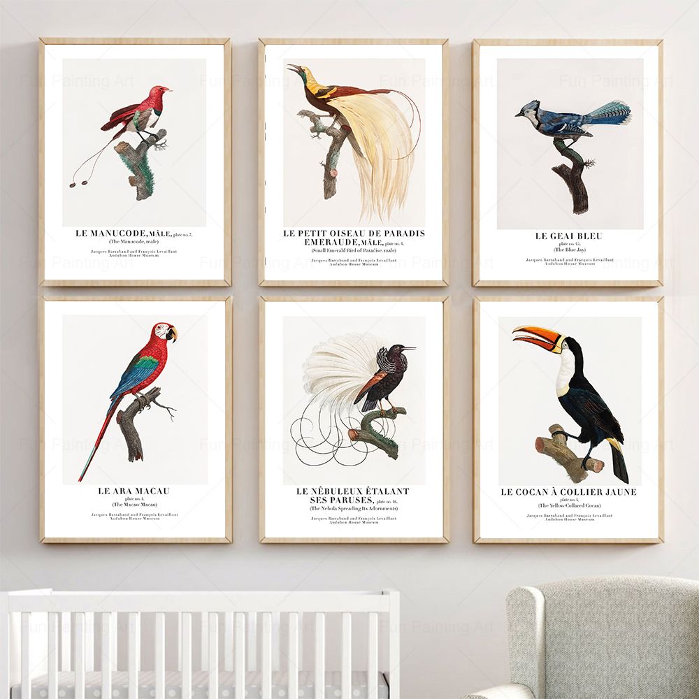 Furniture Paradise & Hardware Ghaziabad Reviews - Toile d'art mural Vintage oiseau paradis,